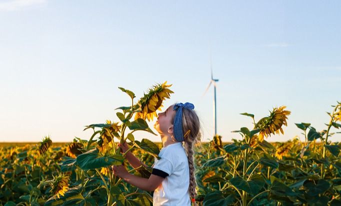 Authorable card image